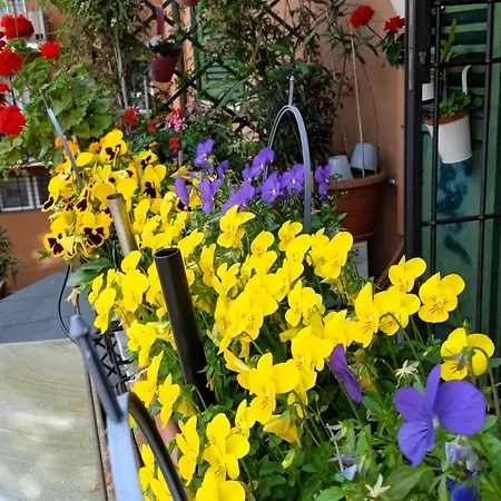 Appartamento Casa Il Gelsomino Bologna